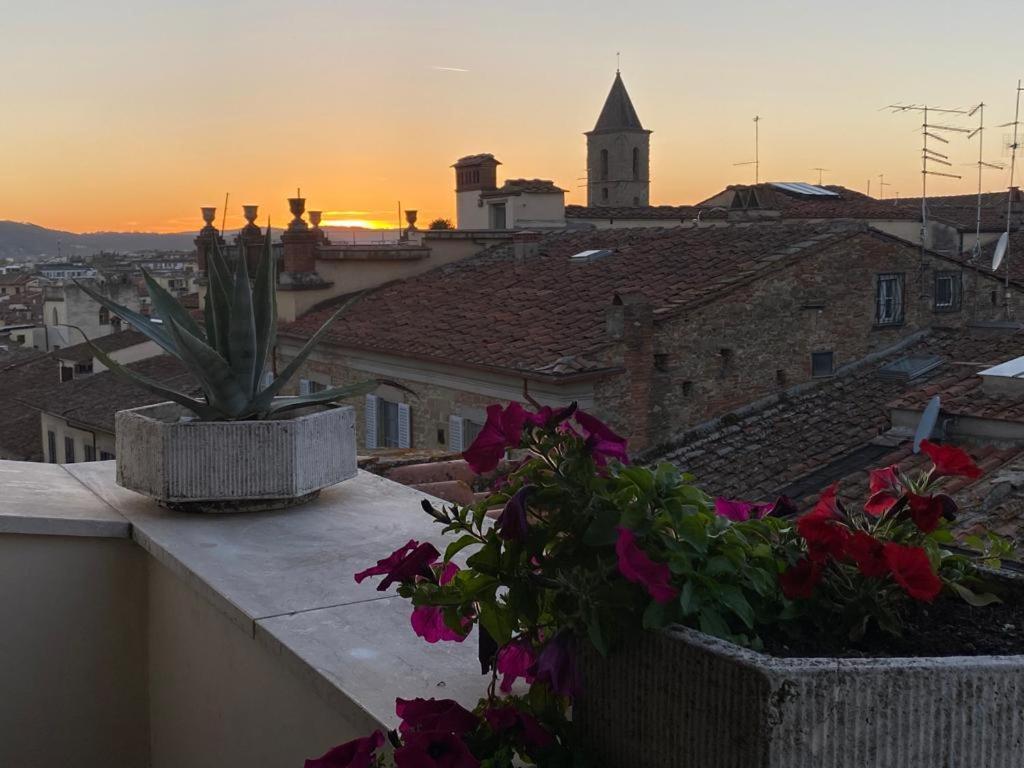 Apartament Attico Altucci Arezzo Zewnętrze zdjęcie